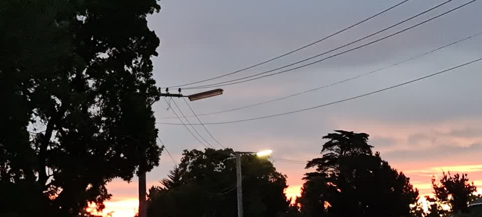 The photograph attached to this street light outage report