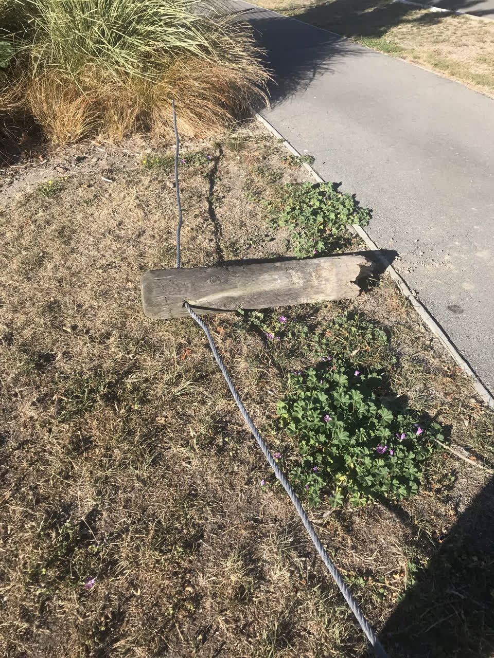 The photograph attached to this parks report
