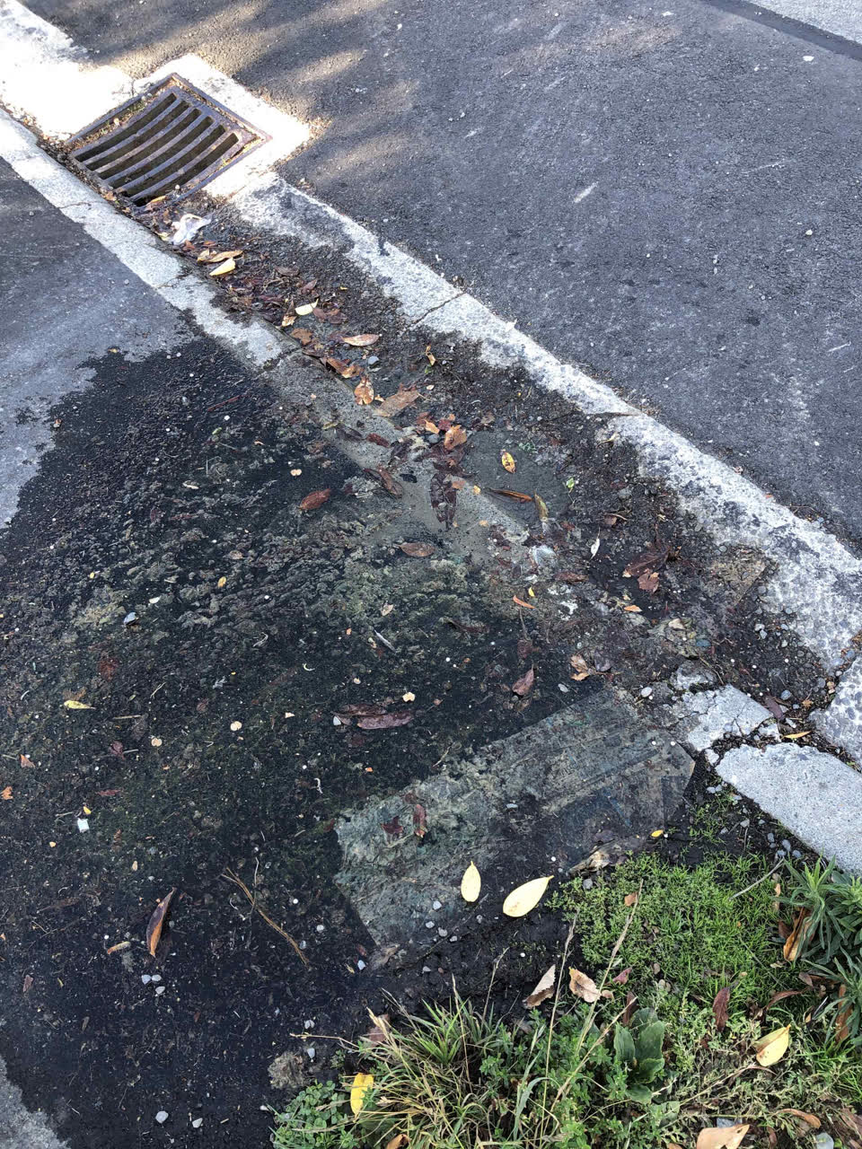 The photograph attached to this water leak report