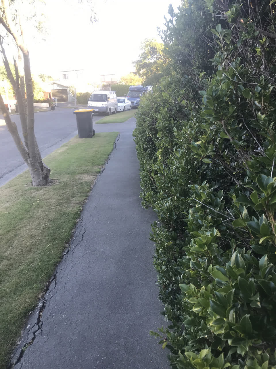 The photograph attached to this roading/streets report