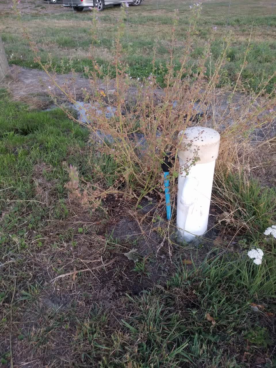 The photograph attached to this water leak report