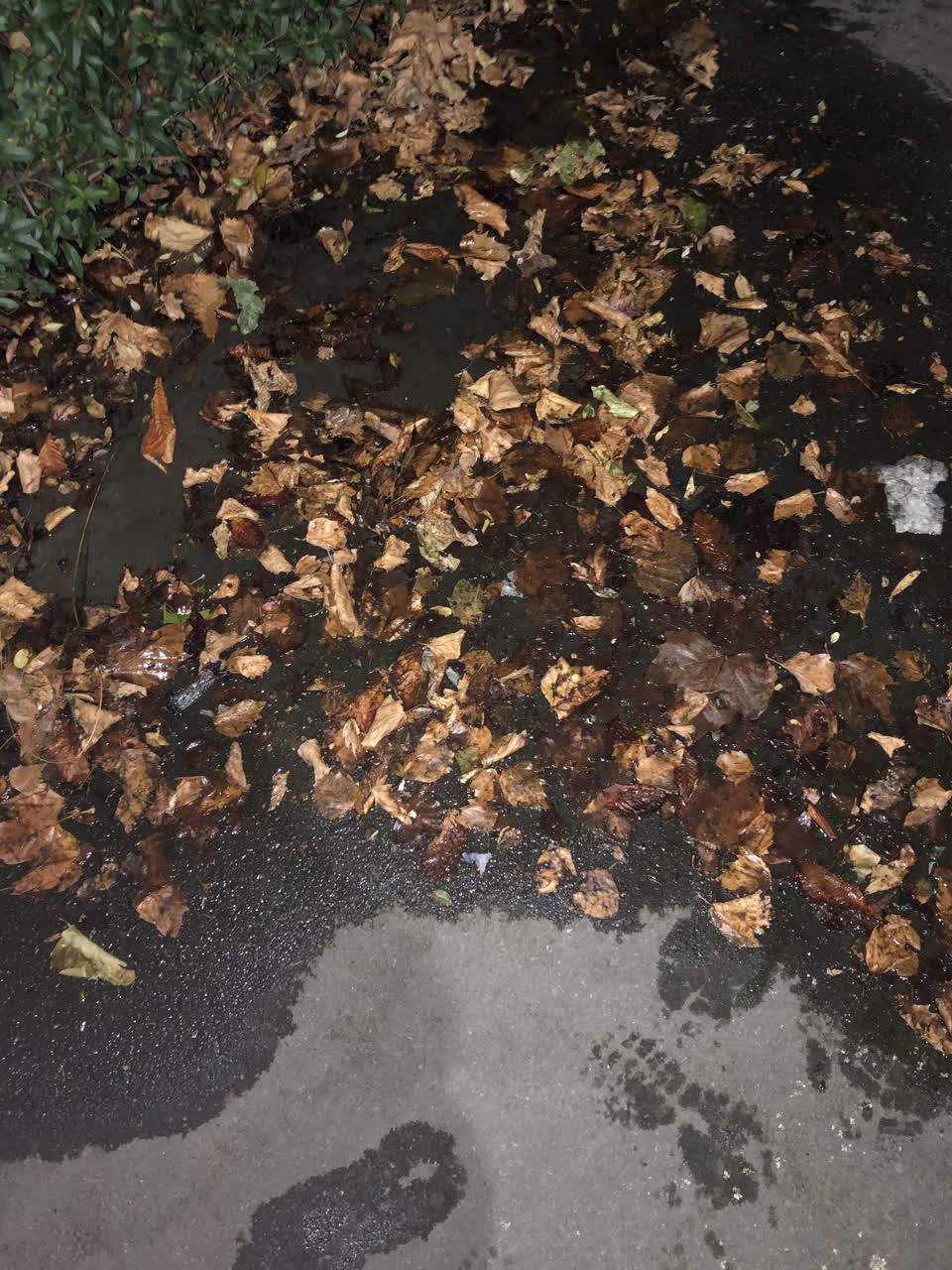 The photograph attached to this water leak report