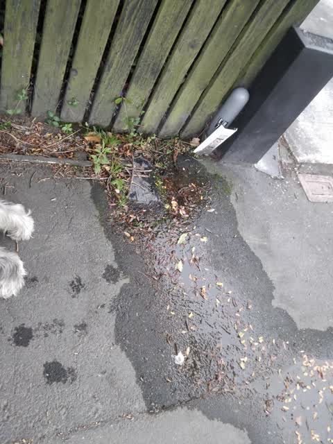 Water Leak, a report photo