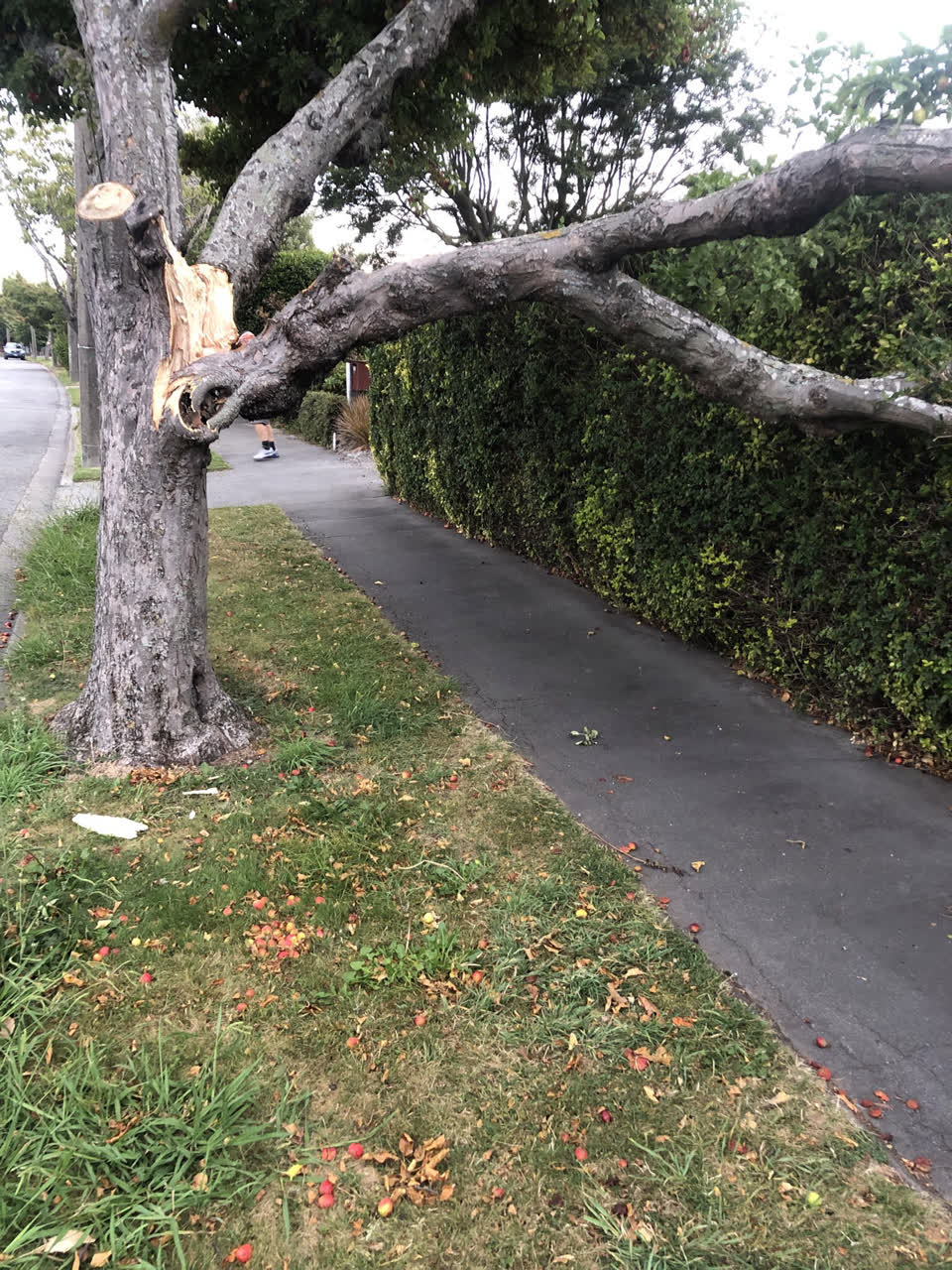The photograph attached to this roading/streets report