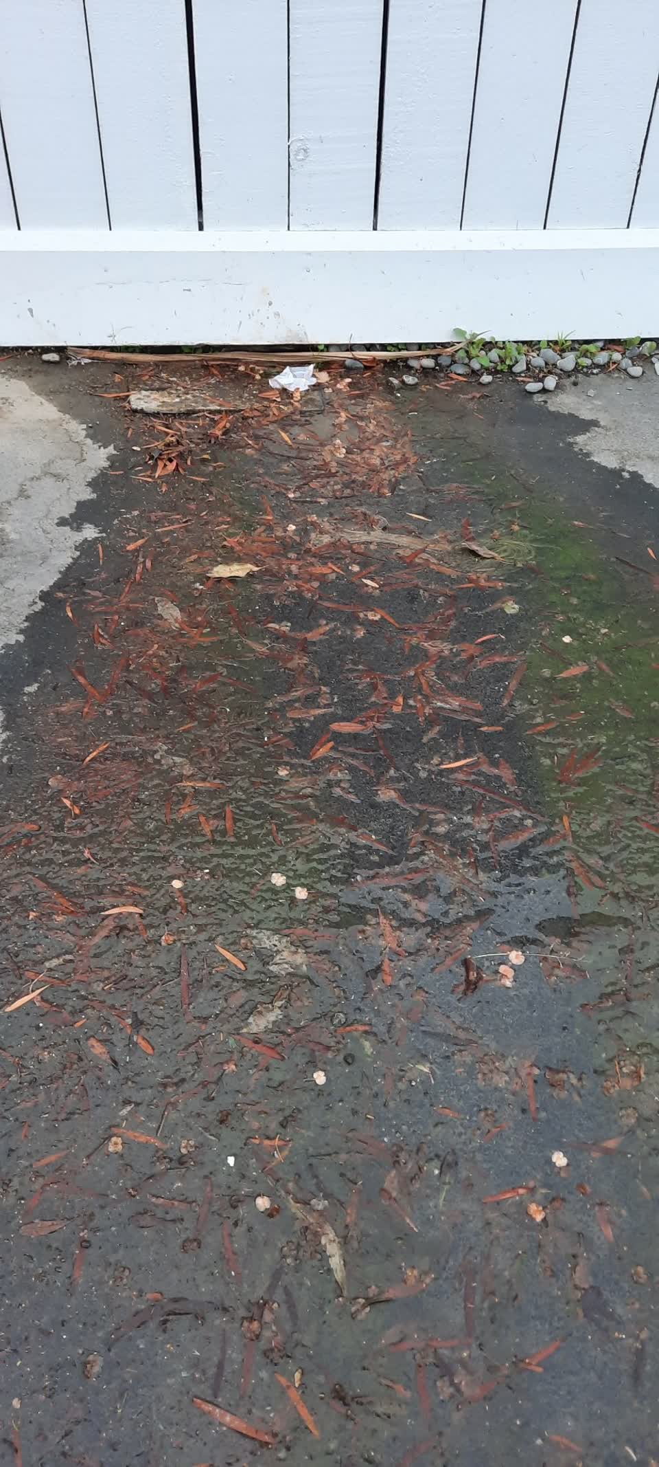 The photograph attached to this flooding report