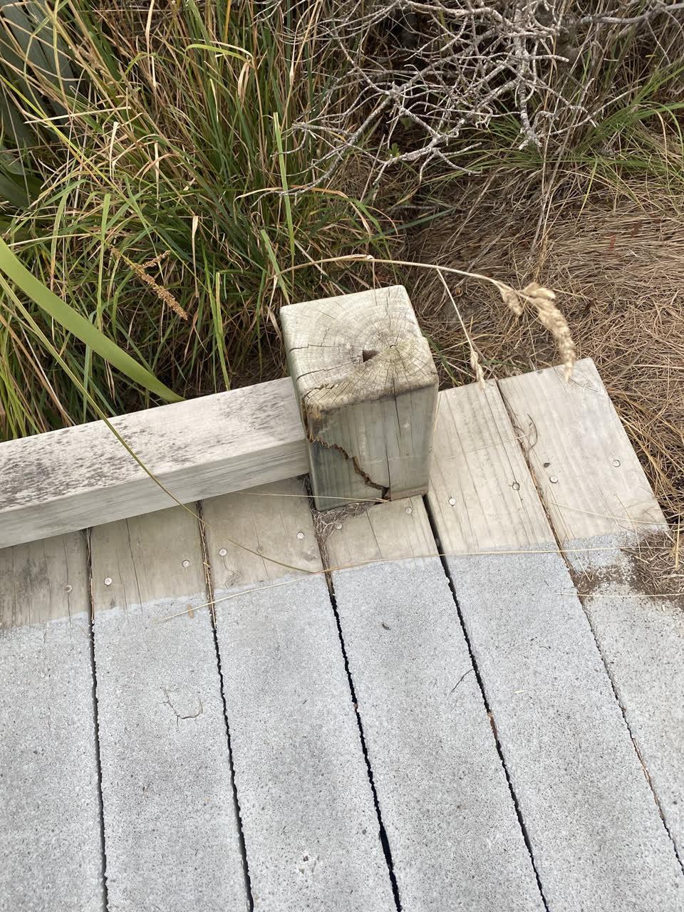 The photograph attached to this parks report