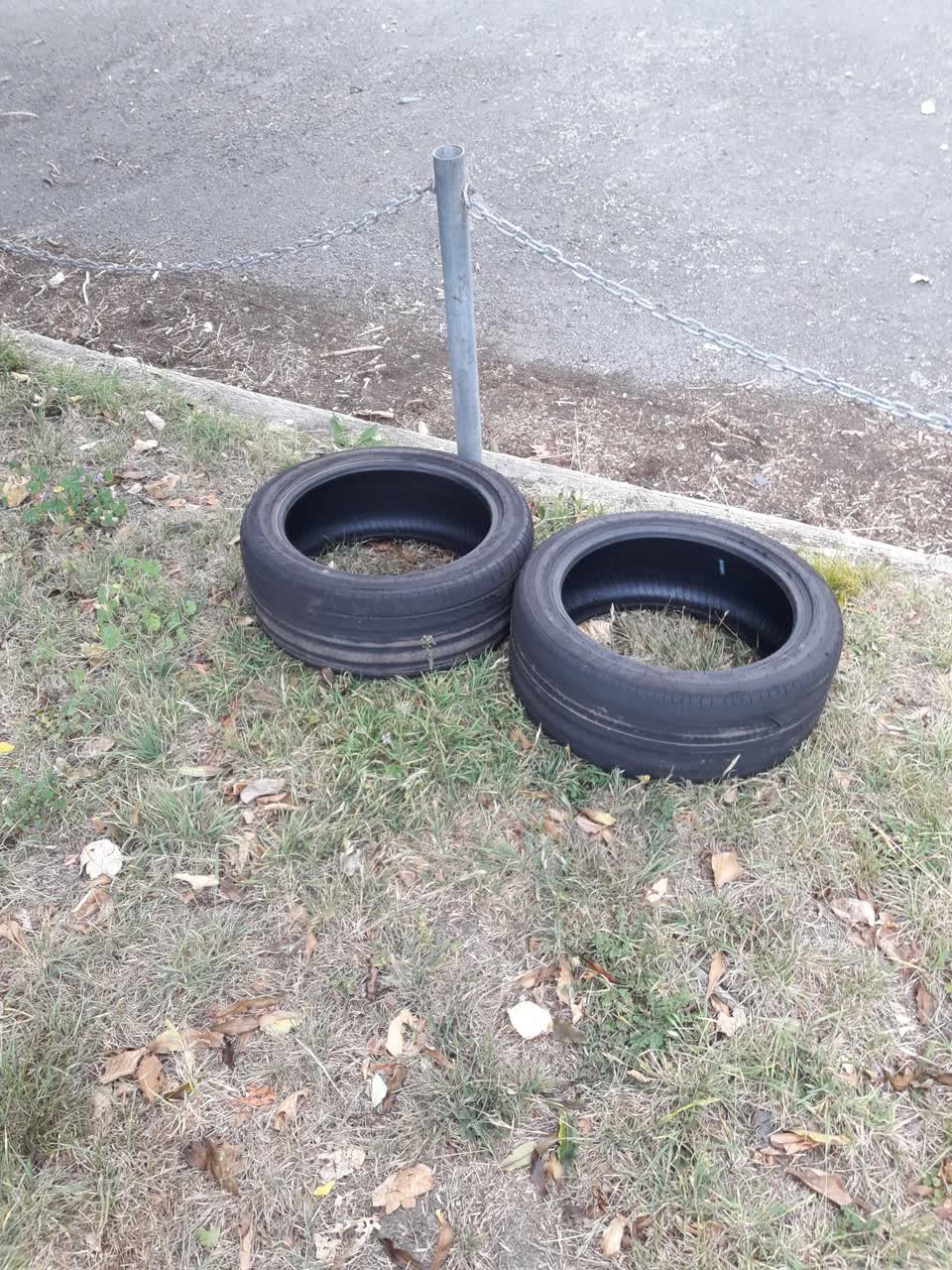 The photograph attached to this parks report