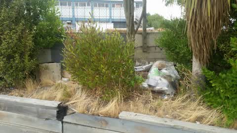 Rubbish/Recycling, a report photo