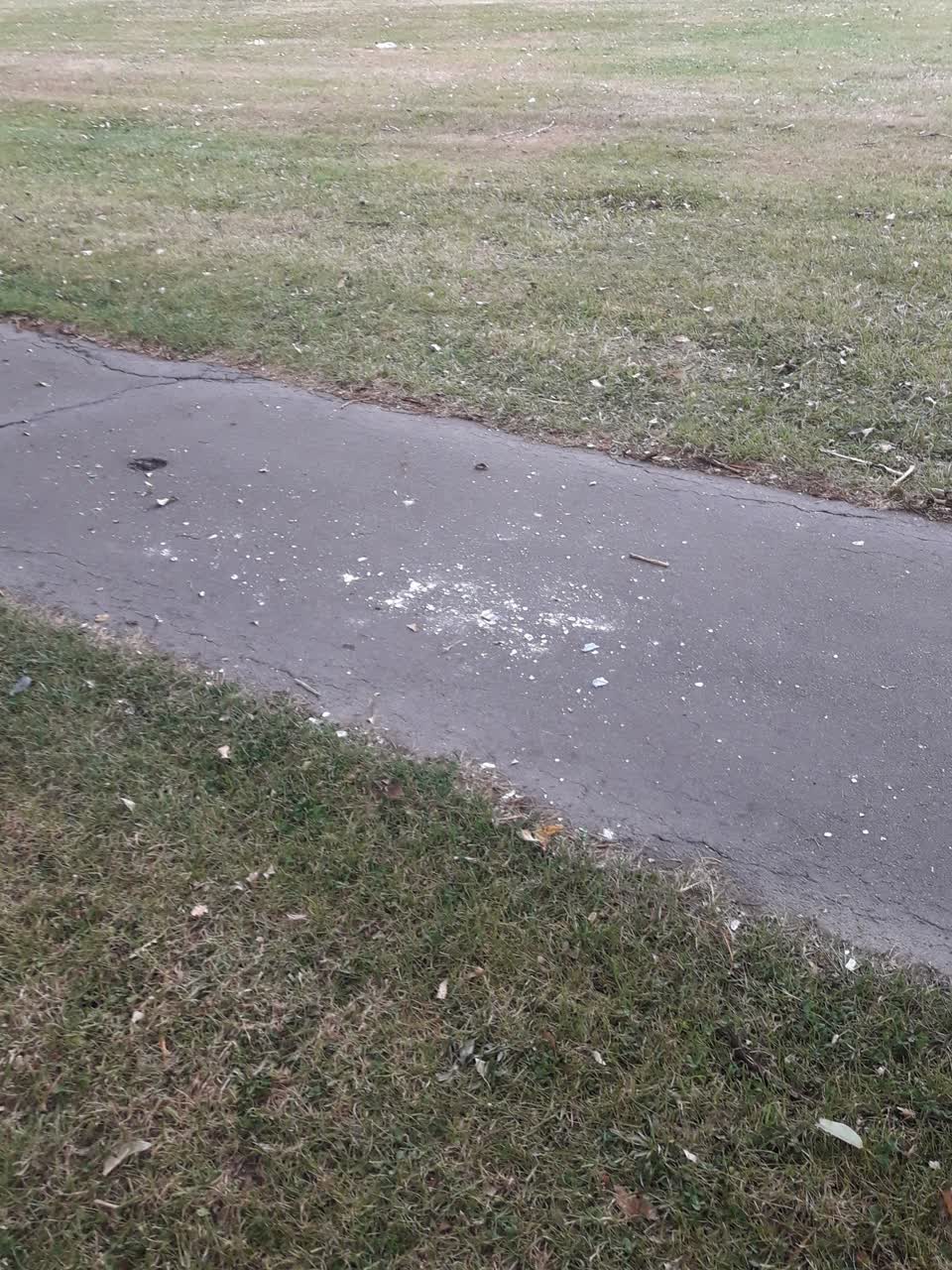 The photograph attached to this parks report