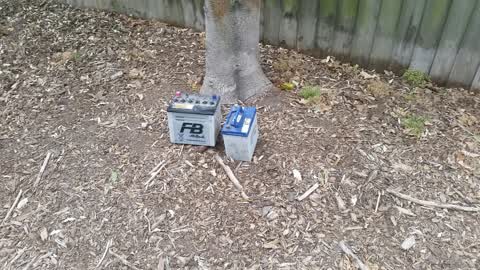 Rubbish/Recycling, a report photo