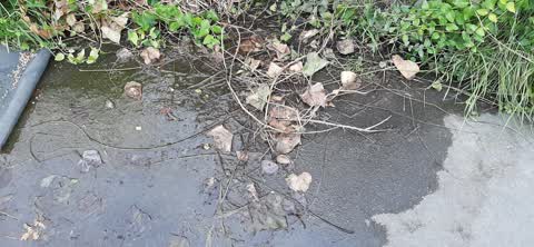 Water Leak, a report photo