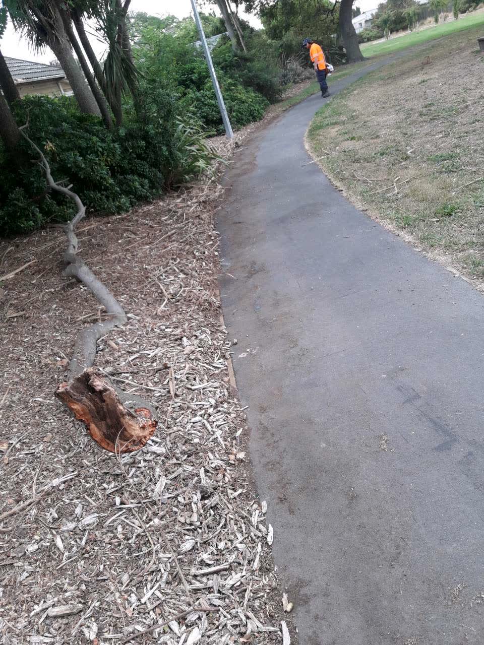 The photograph attached to this parks report