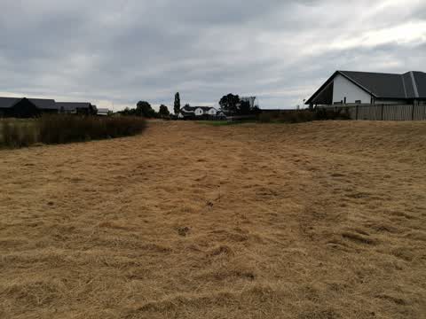 Parks, a report photo