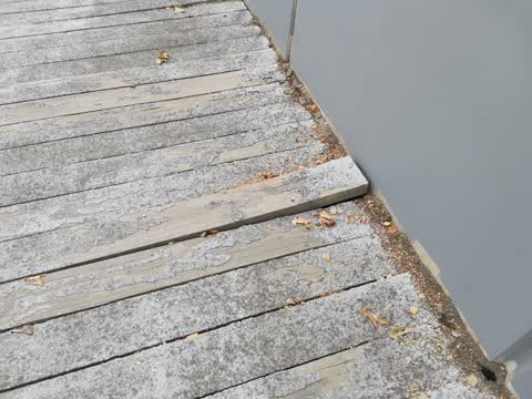 Roading/Streets, a report photo