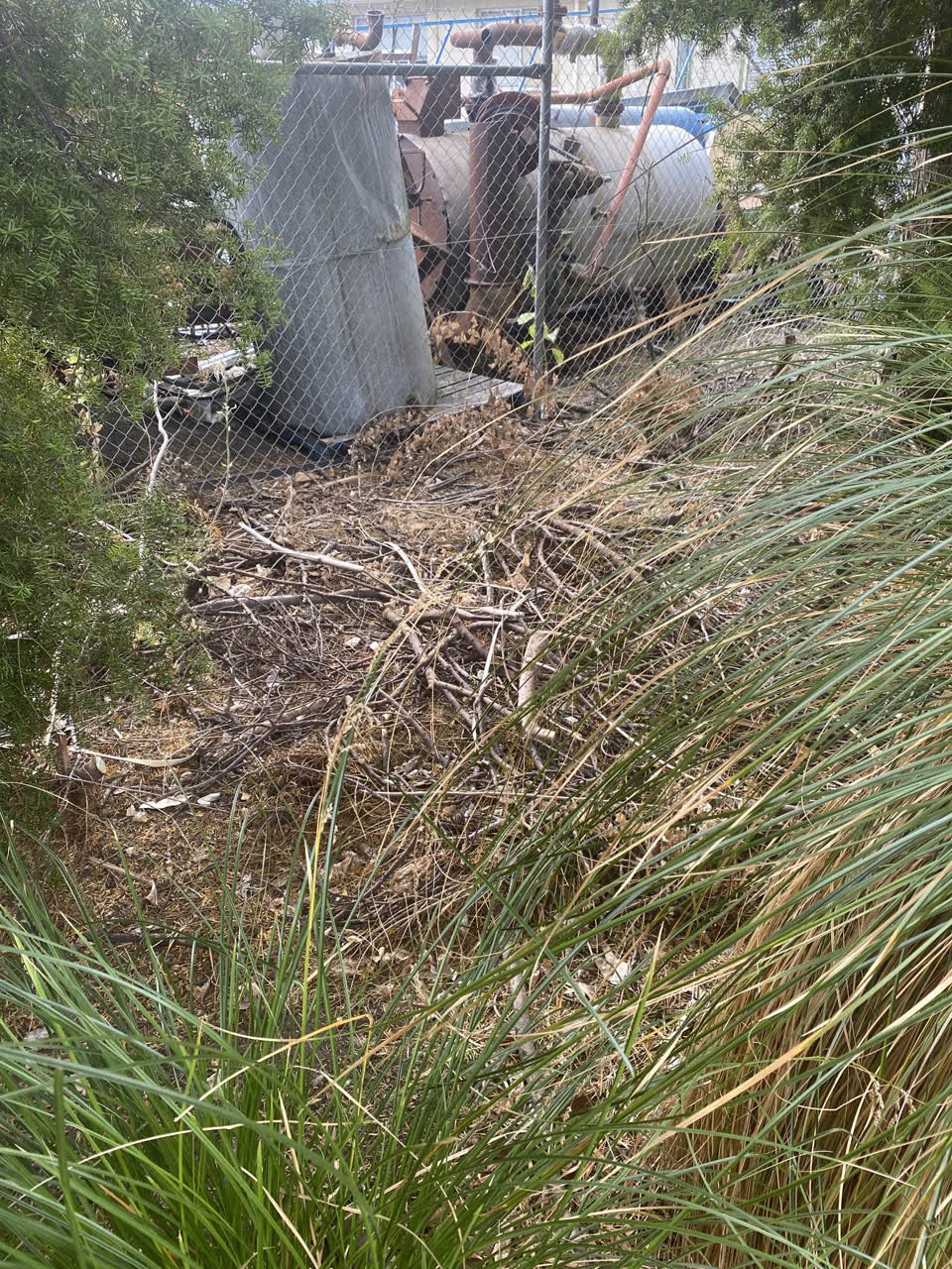 The photograph attached to this parks report