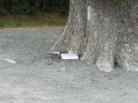 Rubbish/Recycling, a report photo