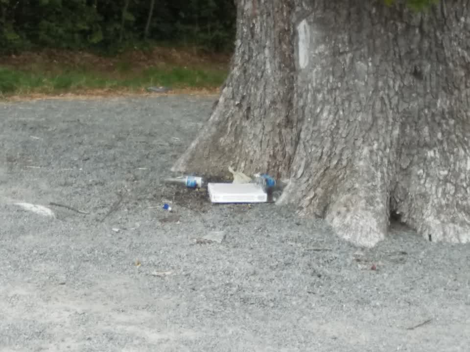 The photograph attached to this rubbish/recycling report