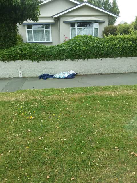 Rubbish/Recycling, a report photo