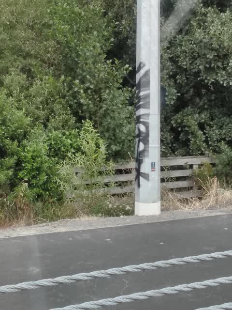 Graffiti, a report photo