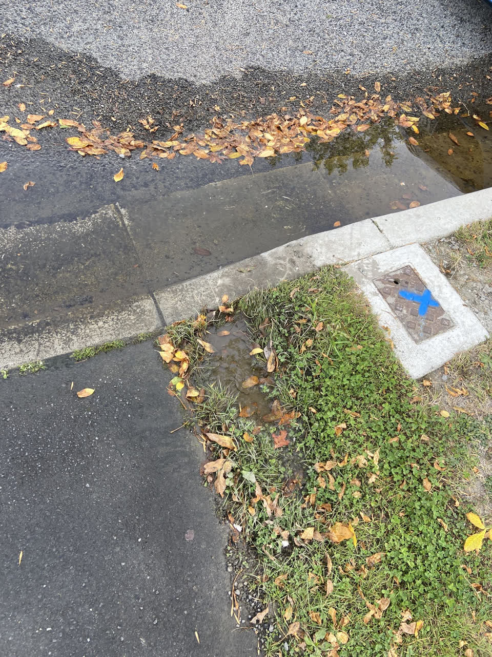 The photograph attached to this water leak report