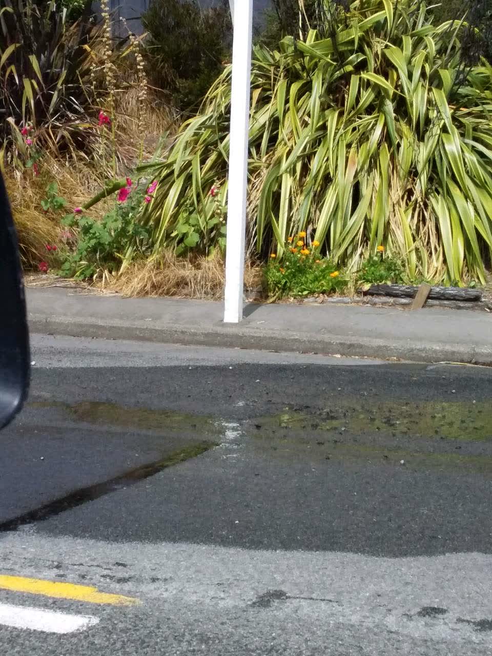 The photograph attached to this water leak report