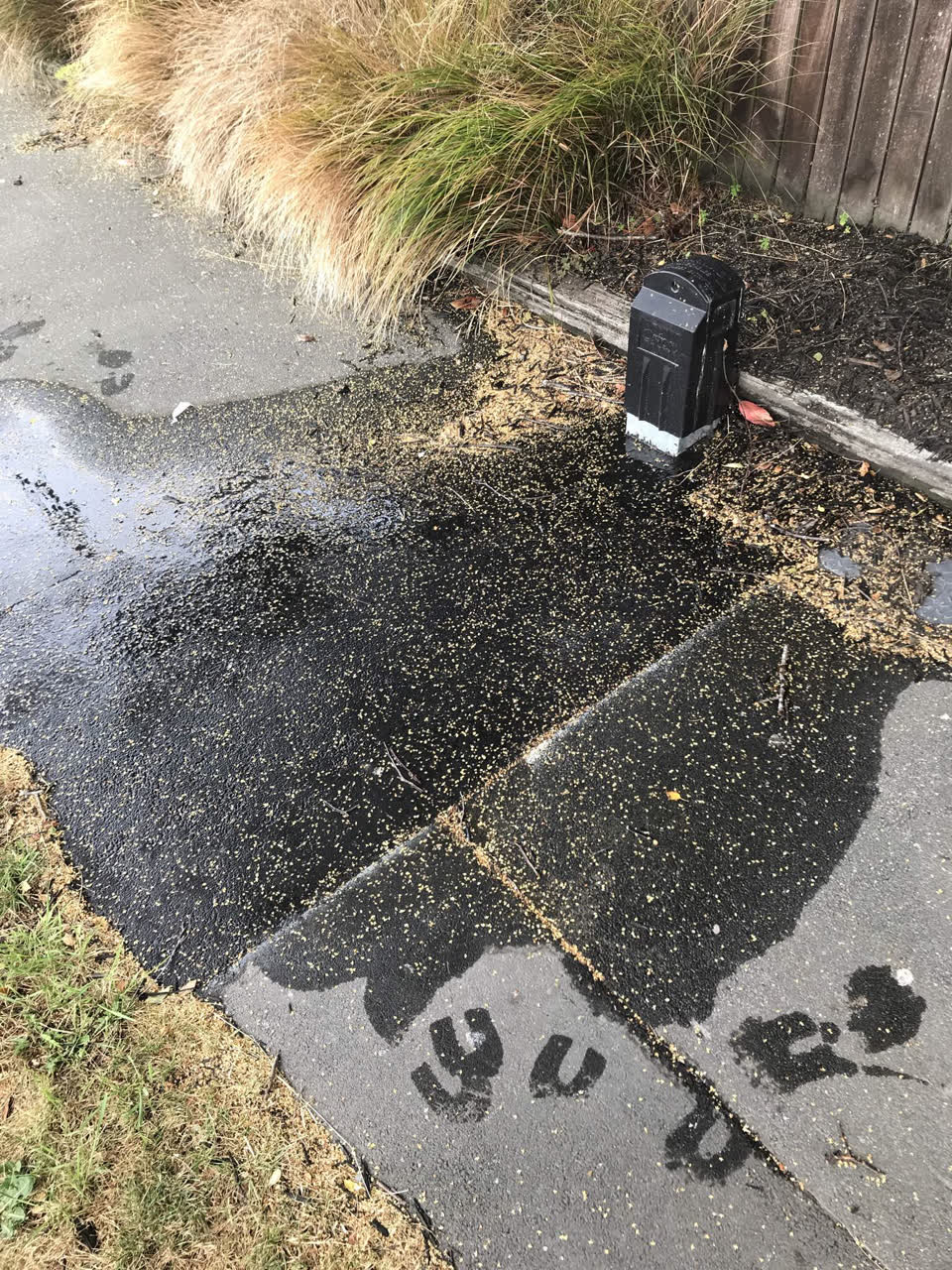The photograph attached to this water leak report