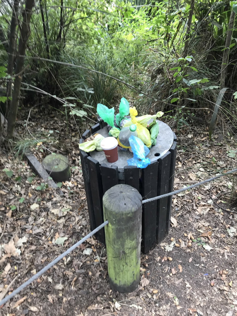 The photograph attached to this rubbish/recycling report