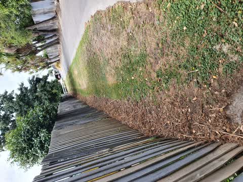 Parks, a report photo