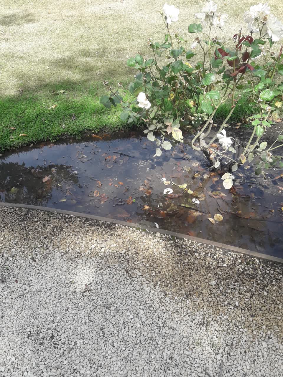 The photograph attached to this parks report