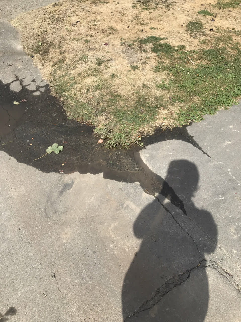 The photograph attached to this water leak report