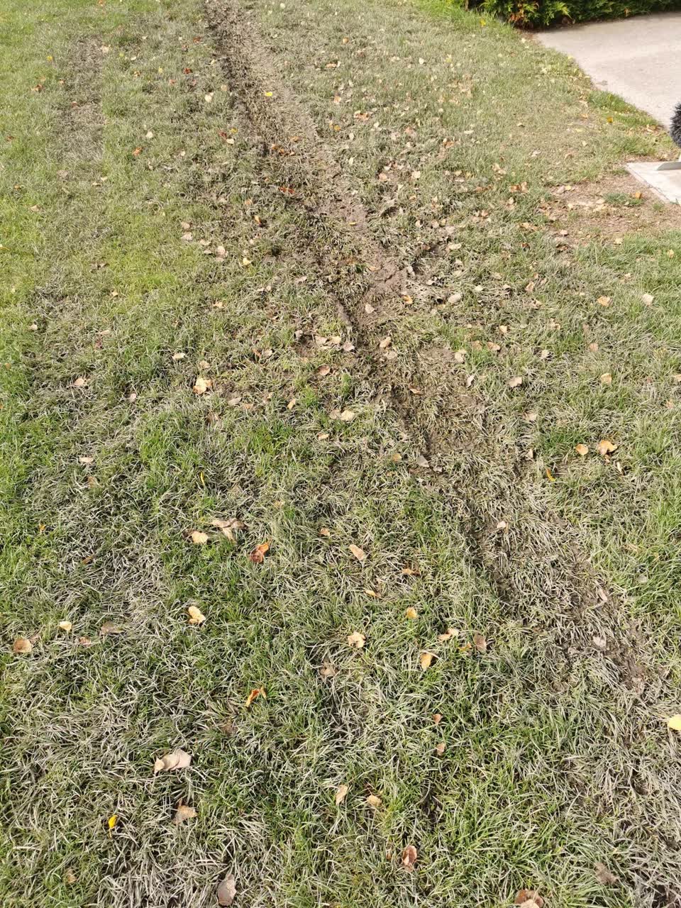 The photograph attached to this parks report