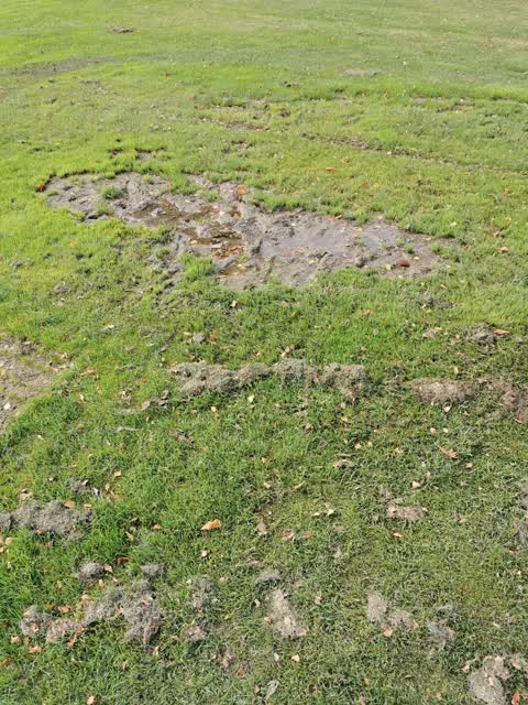 Parks, a report photo
