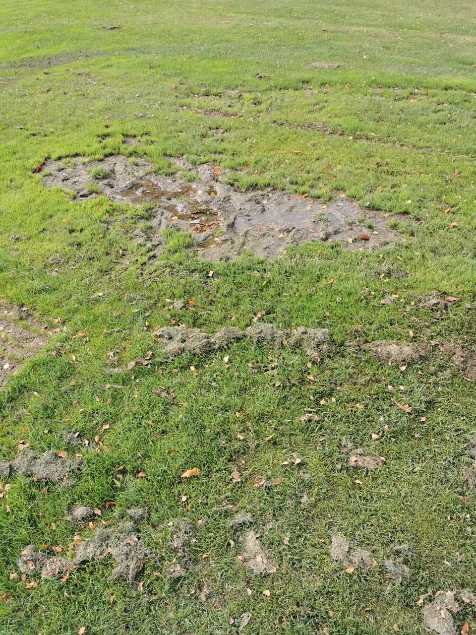 The photograph attached to this parks report
