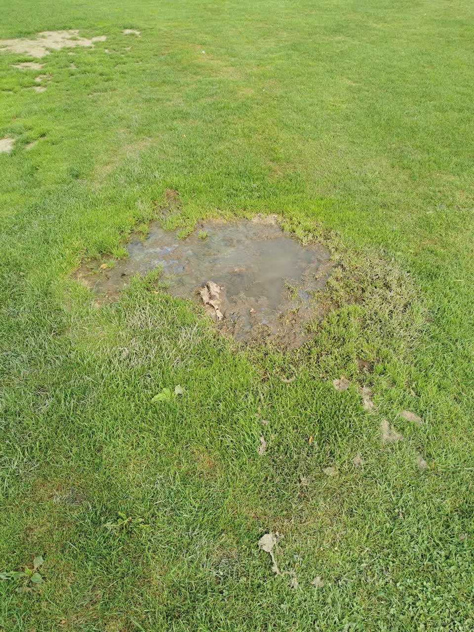 The photograph attached to this parks report