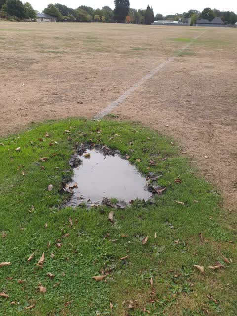Parks, a report photo