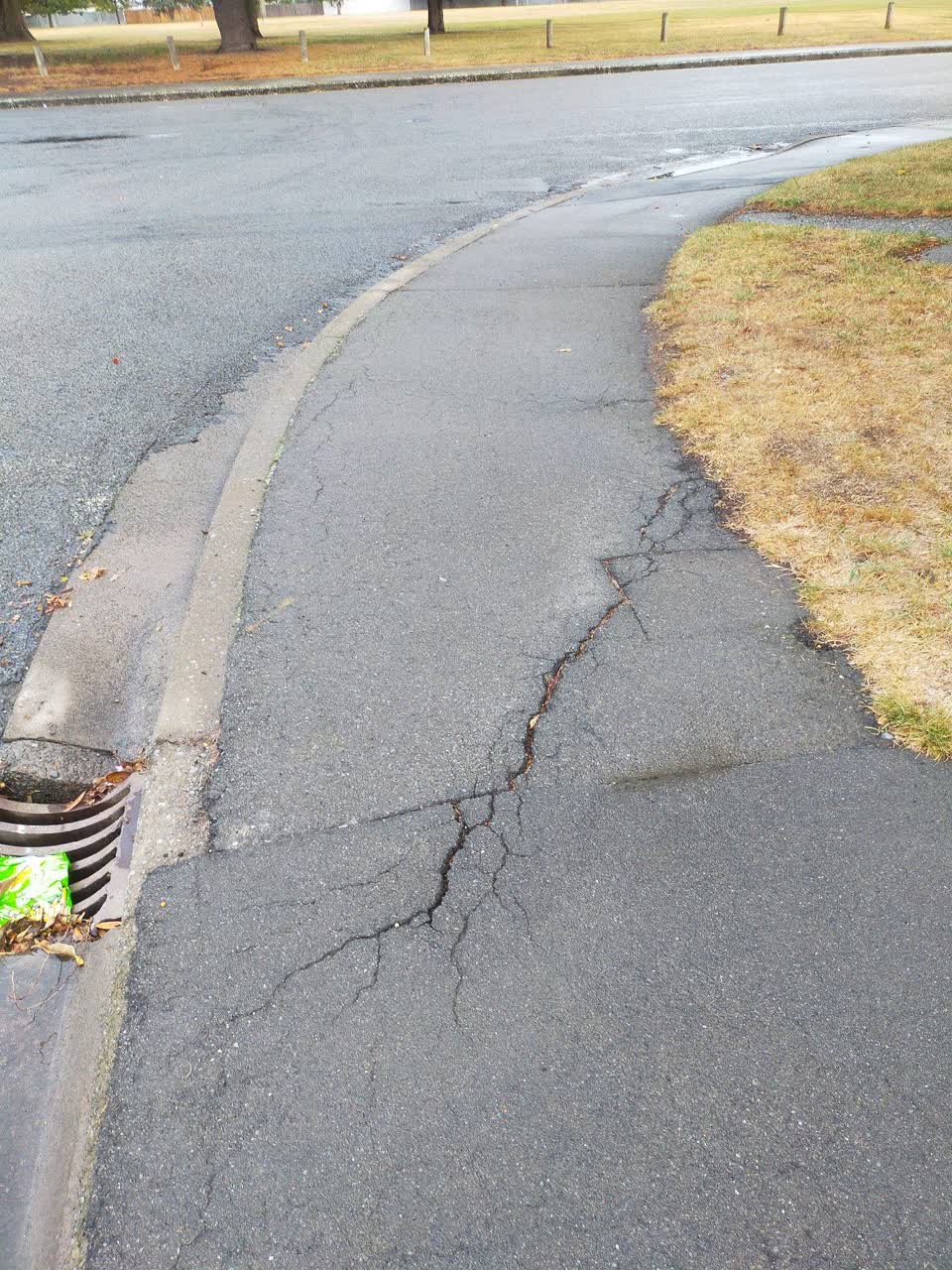 The photograph attached to this roading/streets report