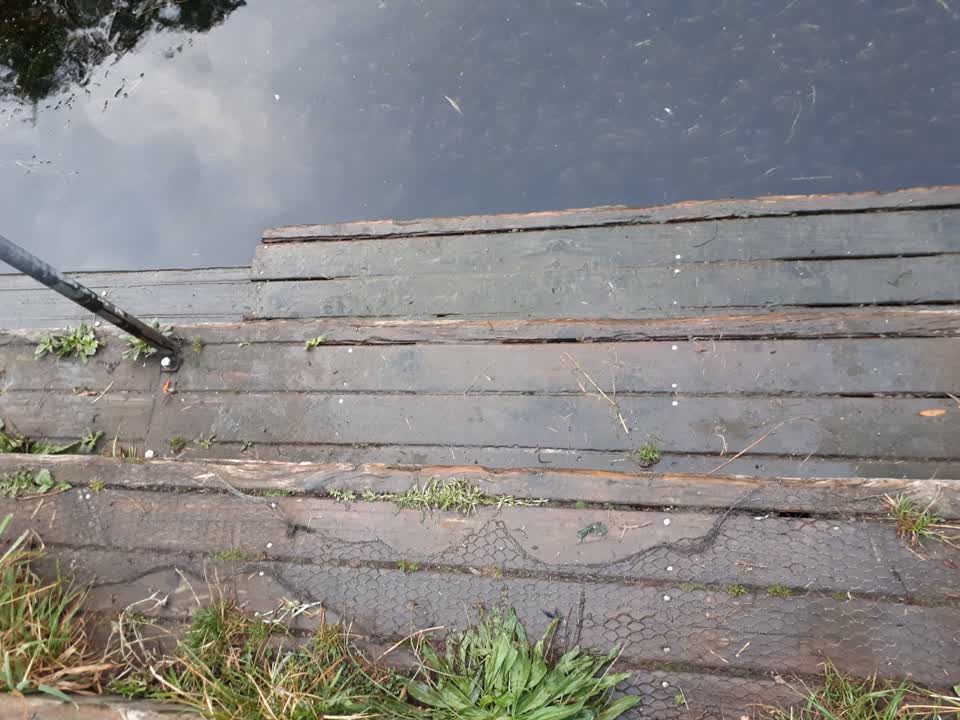 The photograph attached to this parks report