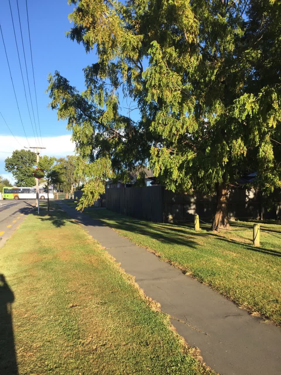 The photograph attached to this parks report
