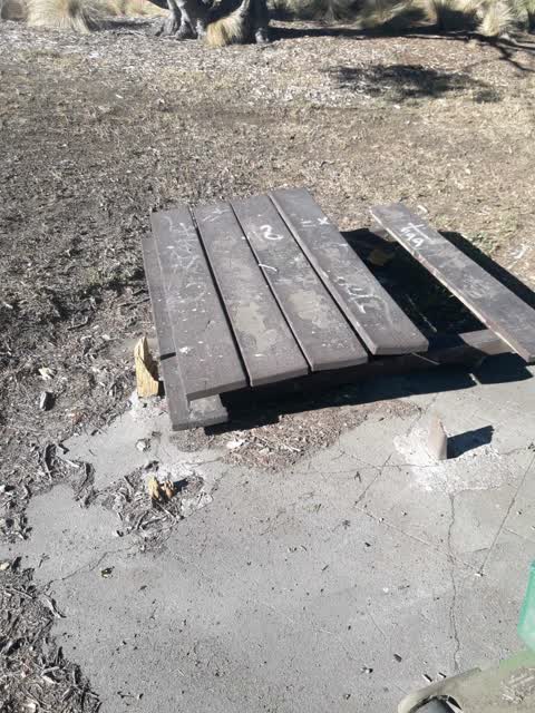 Parks — a report photo