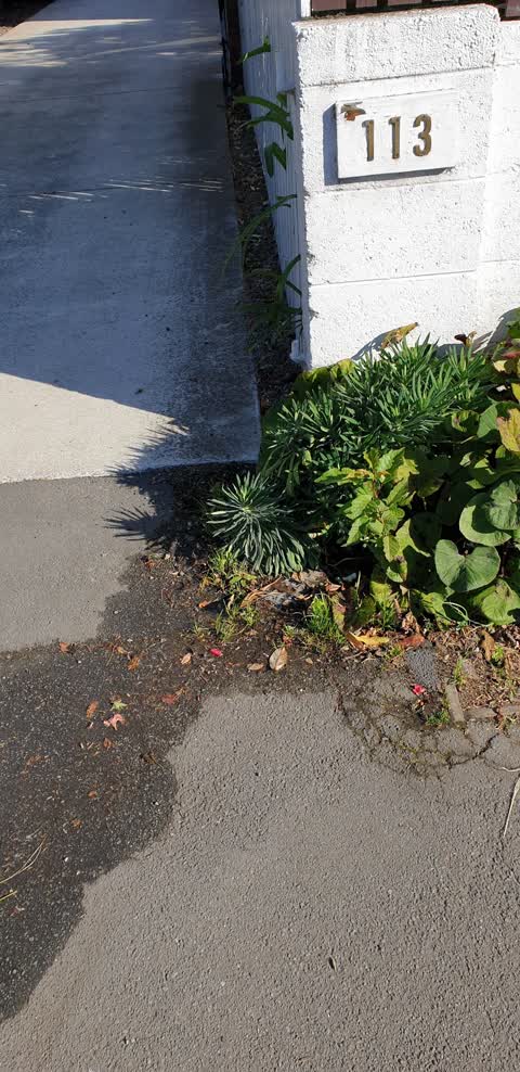 Water Leak, a report photo