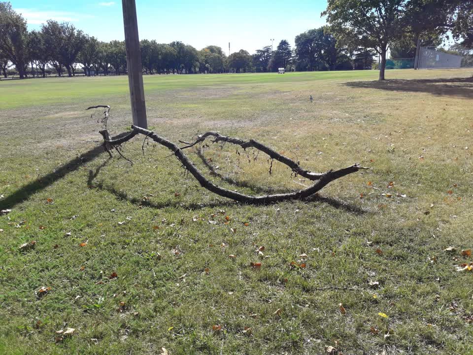 The photograph attached to this parks report