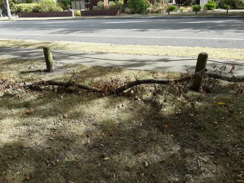 Parks, a report photo