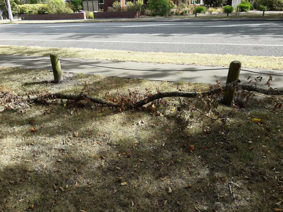 The photograph attached to this parks report
