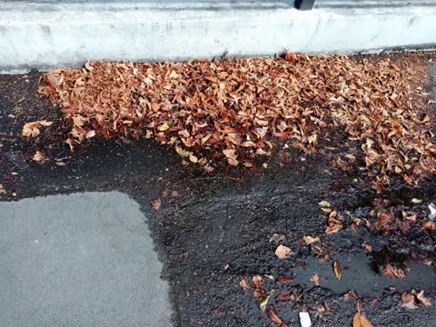 Water Leak, a report photo