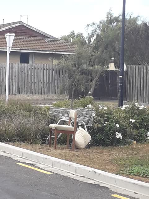 Rubbish/Recycling, a report photo