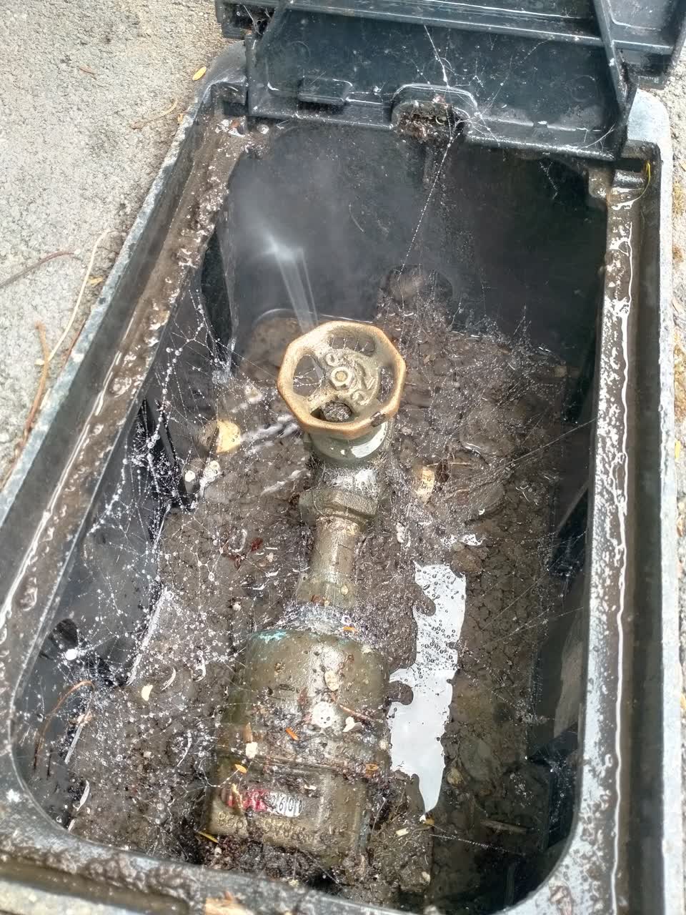 The photograph attached to this water supply report