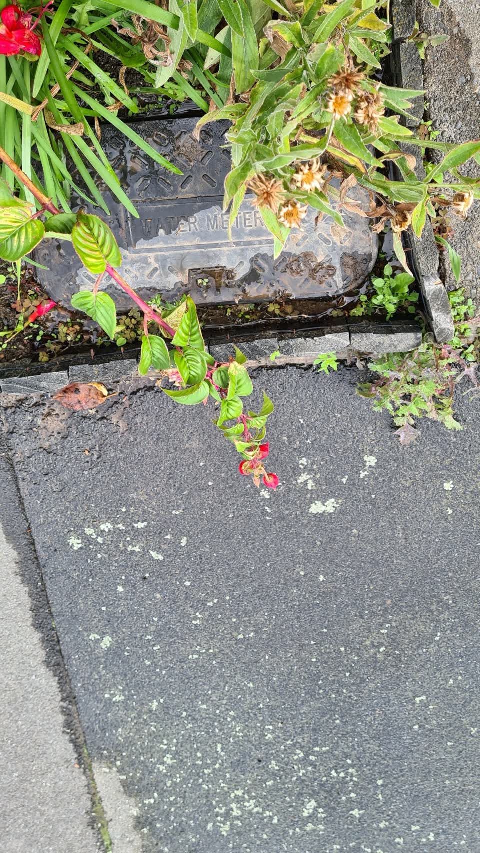 The photograph attached to this water leak report