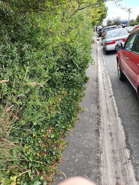Roading/Streets, a report photo