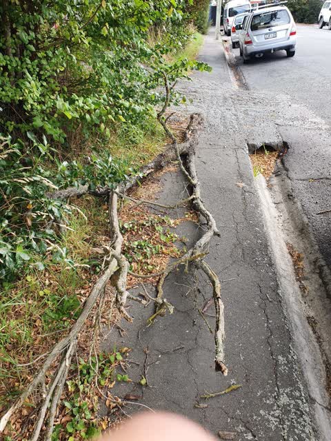 Roading/Streets, a report photo