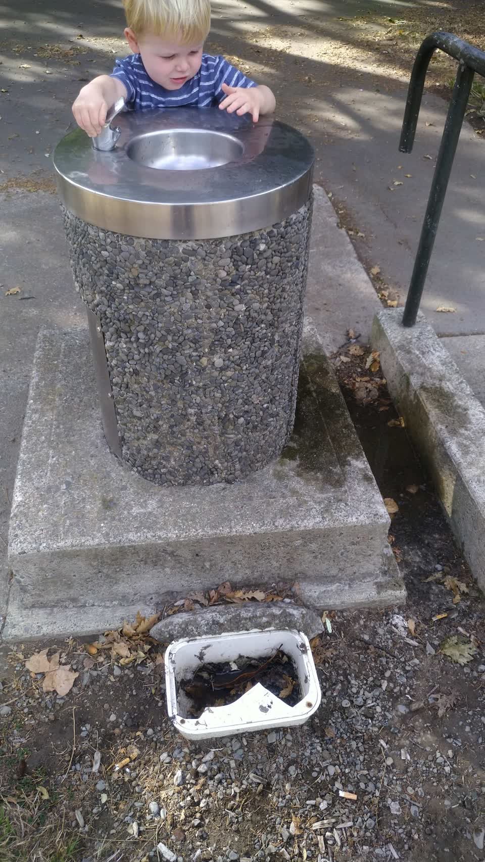 The photograph attached to this parks report